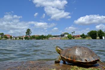 Lagoa Armênia